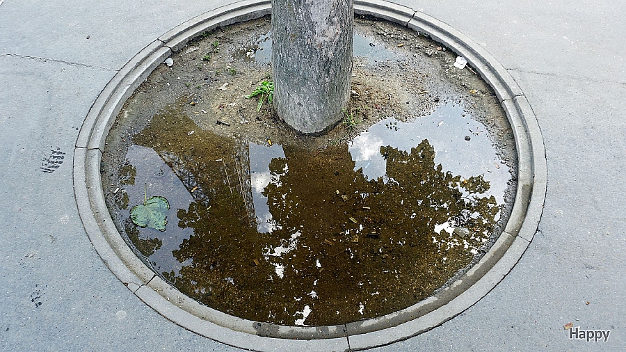 Billede af Eiffeltårnet i Paris