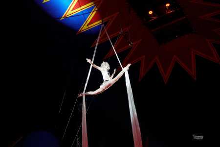 Tetiana Korenieva, Cirkus Arena